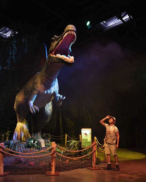Dinos alive houston photos - Houston's new family-friendly immersive exhibit, Dinos Alive is an interactive experience that will be fun for all ages. Go back in time and experience more ...
